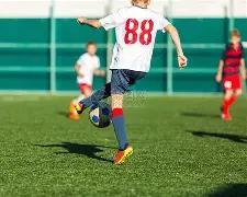 恒大新球场,荷花造型引,热议,九游娱乐平台,九游娱乐官方网站,九游娱乐登录入口,九游娱乐app下载