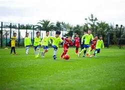 恒大新球场,荷花造型引,热议,九游娱乐平台,九游娱乐官方网站,九游娱乐登录入口,九游娱乐app下载