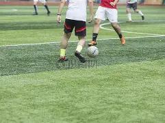 广东文化产,业扶持政策,成效显著,九游娱乐平台,九游娱乐官方网站,九游娱乐登录入口,九游娱乐app下载