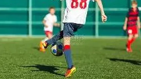 恒大新球场荷花造型引热议，创意评分如何？