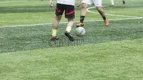 广东文化产业扶持政策成效显著：人才汇聚加速，优质项目扎根发展