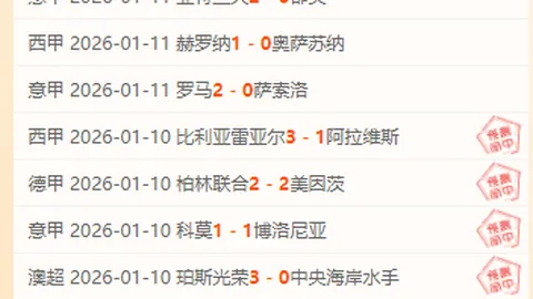 斯图加特2025年实现营收利润双突破，总收入突破2.998亿欧，利润高达1540万欧